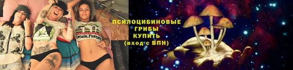 молекула духа Пролетарск