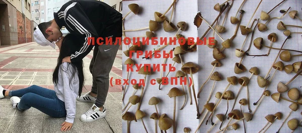 гашиш Приозерск