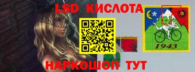 стафф Камышлов