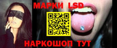 стафф Камышлов