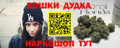 мяу мяу мука Кандалакша