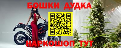 стафф Камышлов