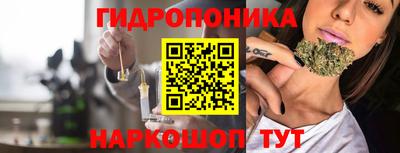 стафф Камышлов