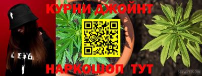 стафф Камышлов