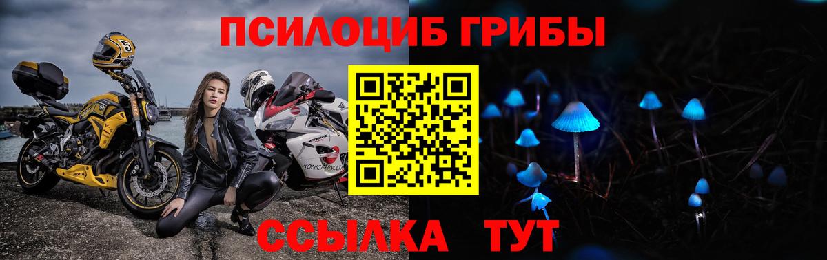 Псилоцибиновые грибы мицелий Радужный