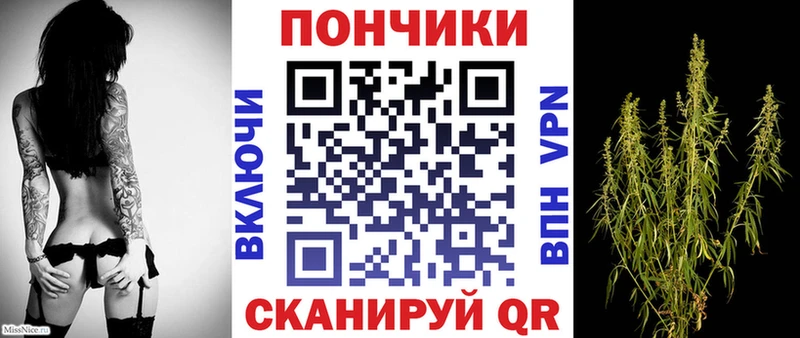 Бошки Шишки ГИДРОПОН  hydra маркетплейс  Радужный 